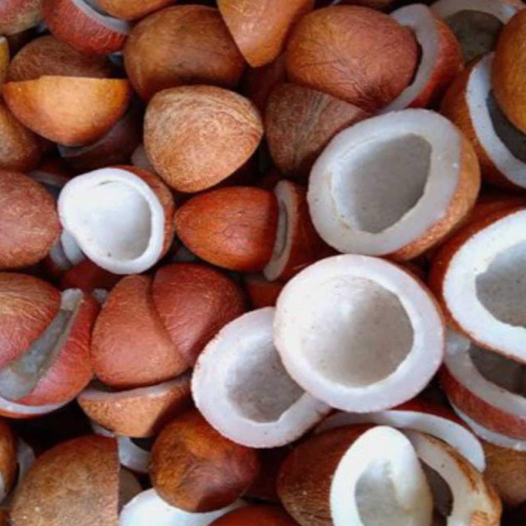 Dry coconut [ వట్టి కొబ్బరి ] 1Kg