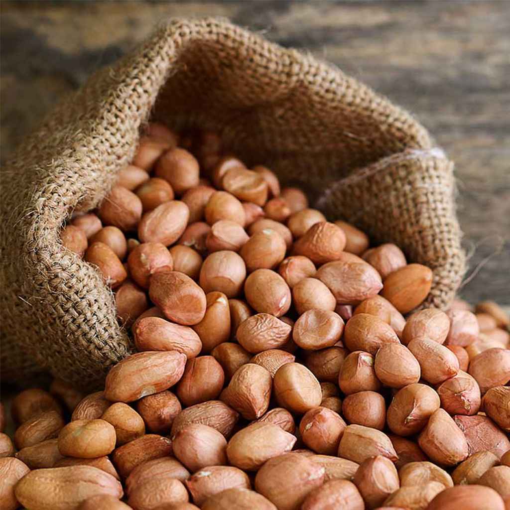Peanuts  [పల్లిలు] 1 KG